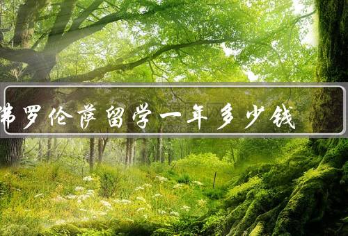 佛罗伦萨留学一年多少钱
