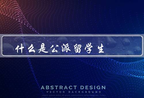 什么是国家公派留学生，培养高素质人才／推动科技创新