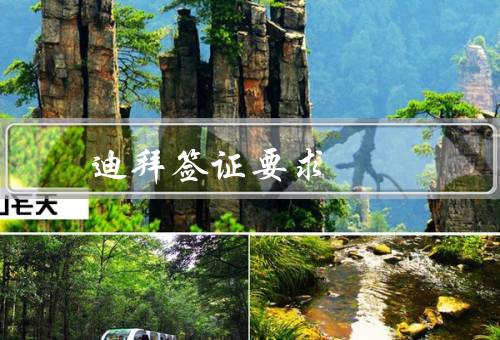 迪拜签证照片要求（尺寸／质量／背景）