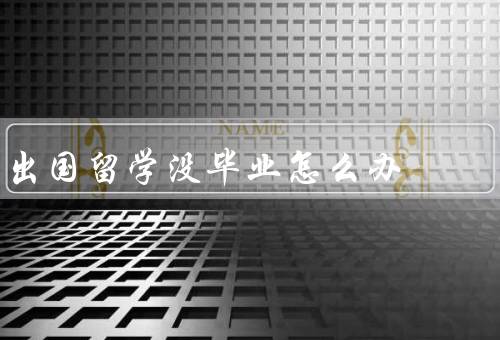 出国留学没毕业怎么办，留学生自我反思／寻找帮助和支持