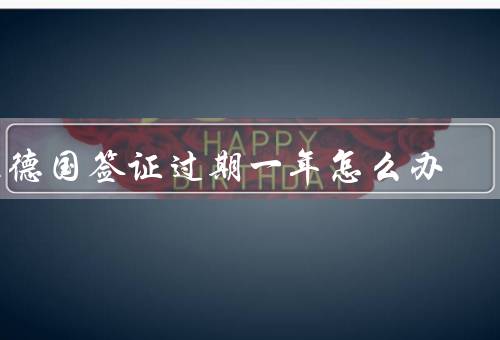 在德国签证过期一年怎么办（申请居留许可、聘请律师）