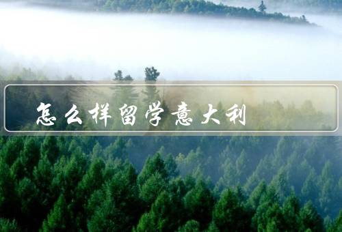怎么样留学意大利，留学意大利的准备工作／选择合适的留学项目