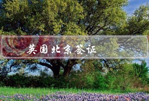 英国北京签证中心电话（电话咨询／签证进度查询／其他服务）