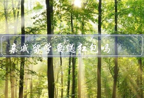 亲戚留学要送红包吗，留学目的和经济情况、亲戚关系和交往频率