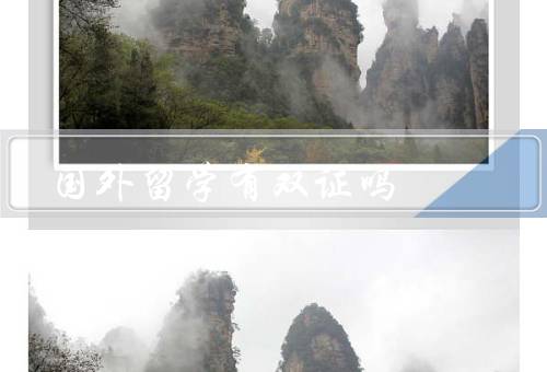 国外留学有双证吗（国外留学的双证、双证的优势、单证的优势）