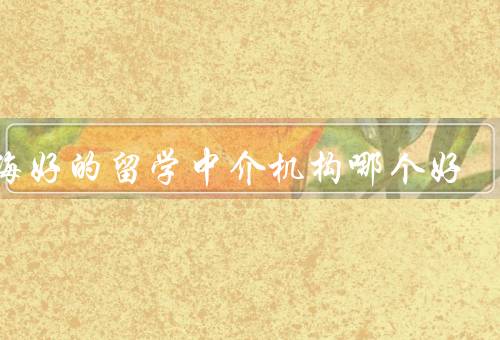 上海好的留学中介机构哪个好（教育中心、外语教育网、360）