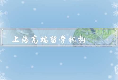 上海高端留学机构，规划、申请指导、生活支持