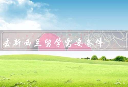 去新西兰留学需要条件（语言要求、学历要求、经济能力要求）