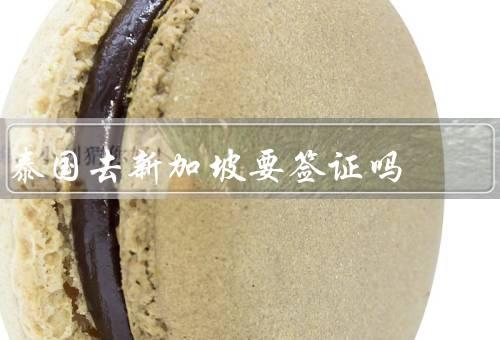 泰国去新加坡要签证吗，泰国公民前往新加坡需要／类型