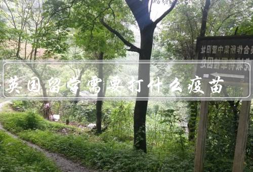 去英国留学需要打什么疫苗，要求、时间安排、证明