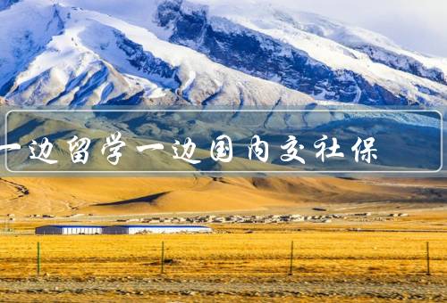 一边留学一边国内交社保，留学生社保政策、优势和不便之处