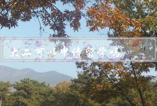 大二可以申请留学吗（优势／挑战／如何决策）