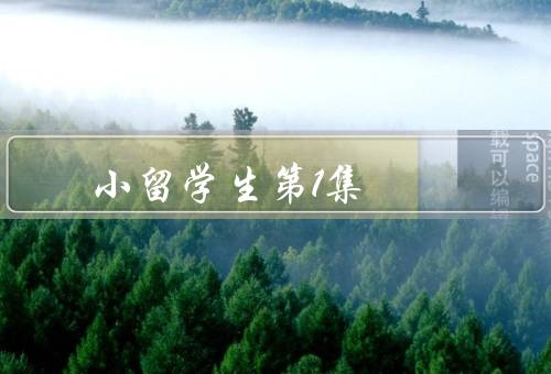 小留学生第1集