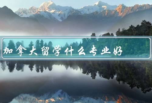 加拿大留学什么专业好移民，计算机科学与技术／商科专业／工程技术