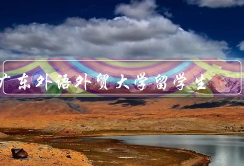 广东外语外贸大学留学生（环境、资源、文化交流）