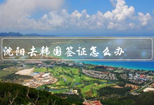 沈阳去韩国签证怎么办，准备材料／提交申请／等待审核