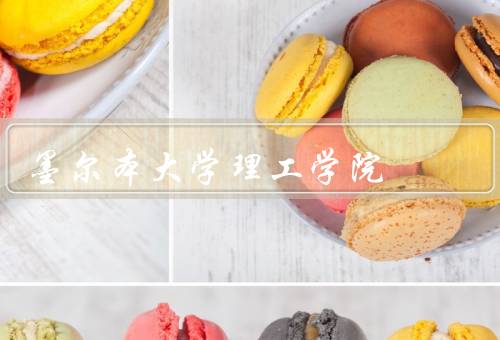 墨尔本大学皇家理工学院，学院创始／国际声誉／丰富的学科与专业