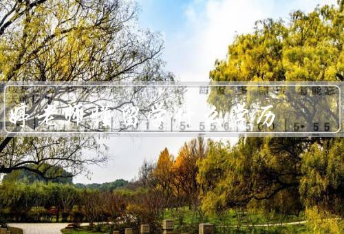 婷老师懂留学什么学历，教育背景、留学经验、专业知识