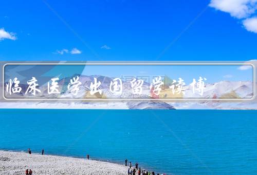 临床医学出国留学读博，宽广的学术视野、优质的教育资源