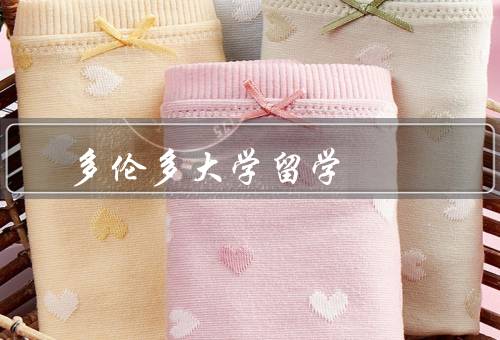 多伦多大学留学（多伦多大学的学术实力、留学生支持与服务）