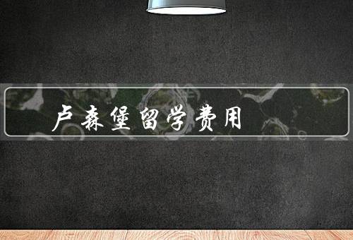 卢森堡留学费用，生活费、学费、医疗保险费用
