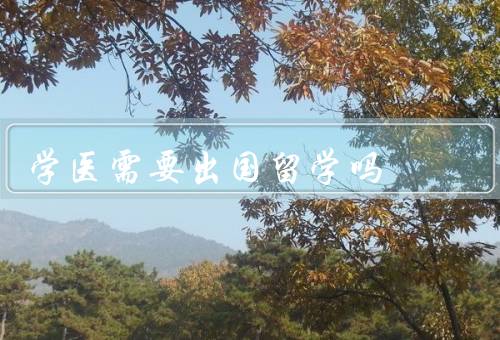 学医需要出国留学吗，学科发展／文化交流／就业竞争
