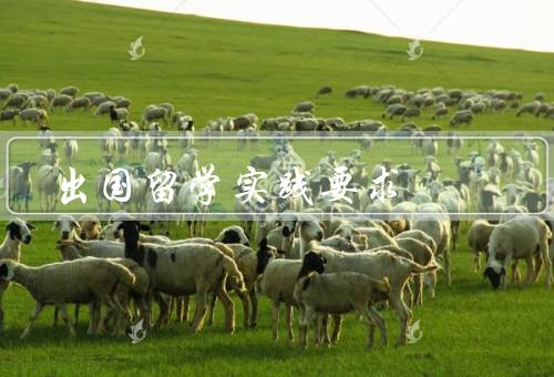 出国留学社会实践要求，机构选择／项目安排／成果总结