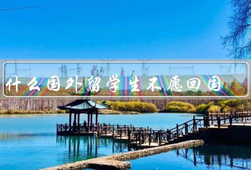 为什么国外留学生不愿回国，就业机会／薪资待遇／生活环境