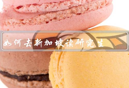 如何去新加坡读研究生，申请流程／入学条件／奖学金机会