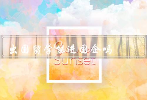 出国留学能进国企吗（留学经历增加竞争力、国外教育资源丰富）