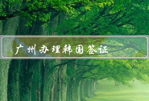 广州办理韩国签证（办理材料、选择适合的签证类型、注意事项）