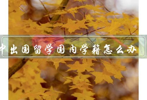 初中出国留学国内学籍怎么办（办理出国手续、保留学籍）