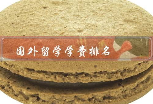 国外留学学费排名，全球留学学费排名、欧洲留学学费排名