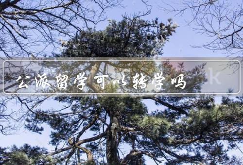 公派留学可以转学吗，公派留学合同关系、条件和要求、影响和风险