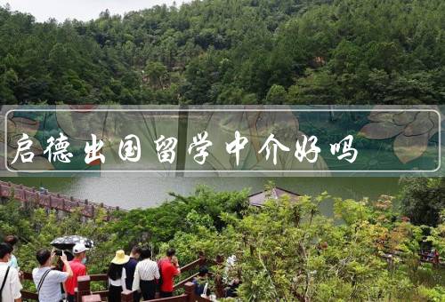 启德出国留学中介好吗（服务全面／资源丰富／口碑良好）