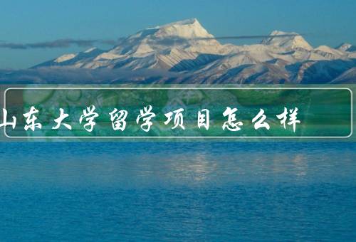 山东大学留学项目怎么样，课程设置、教学质量、国际化程度