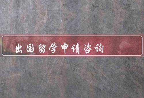 出国留学申请咨询（留学申请条件／申请材料准备／申请流程和时间）