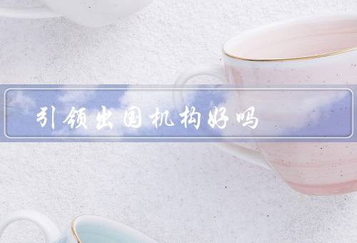 引领出国留学咨询机构好吗，咨询机构的重要性、专业指导的重要性