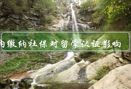国内缴纳社保对留学认证影响（与留学认证、对留学人员的影响、如何）