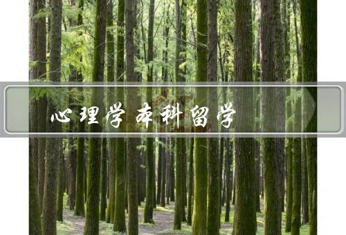 心理学本科留学，优势、挑战、申请注意事项