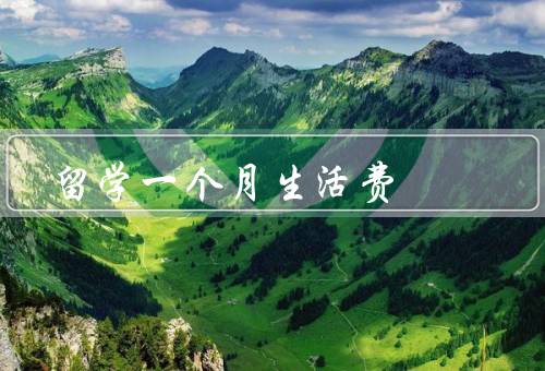 俄罗斯留学一个月生活费，住宿费／饮食费／交通费
