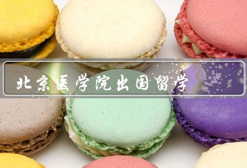 北京协和医学院出国留学，出国留学的机会／学术能力提升