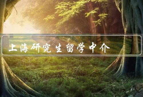 上海研究生留学中介（研究生留学中介的功能）