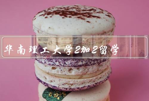 华南理工大学2加2留学（项目介绍、留学经历、双学位认证）