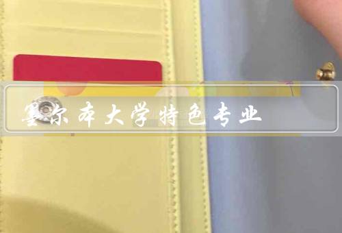 墨尔本大学特色专业（信息技术、环境科学、商科）