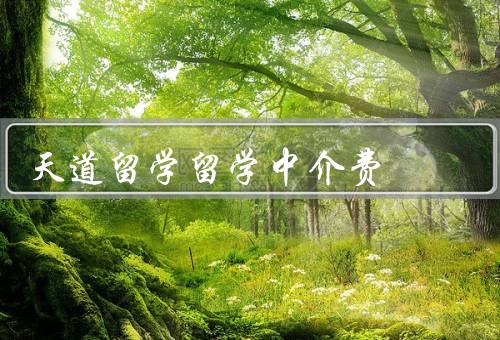 天道留学留学中介费（作用／合理性／注意事项）