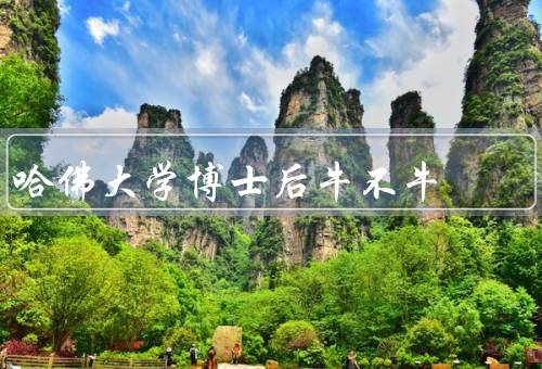 哈佛大学博士后牛不牛（项目的严格选拔／卓越的研究环境和资源）