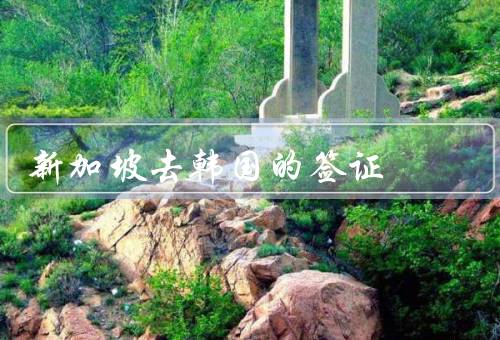 新加坡去韩国的签证，准备材料、办理流程、注意事项