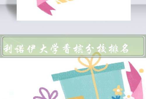 伊利诺伊大学香槟分校排名（学术声誉／研究能力／综合排名）