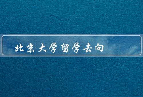 北京大学留学去向，留学生就业／进修深造／回国发展